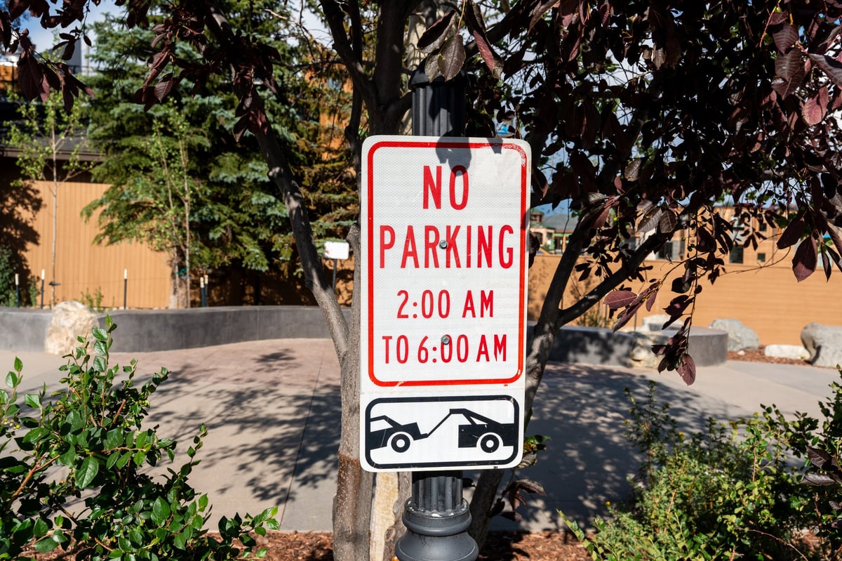 Brand new No Parking sign mounted on a green post